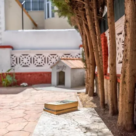 Angelita * Bajo C Malaga